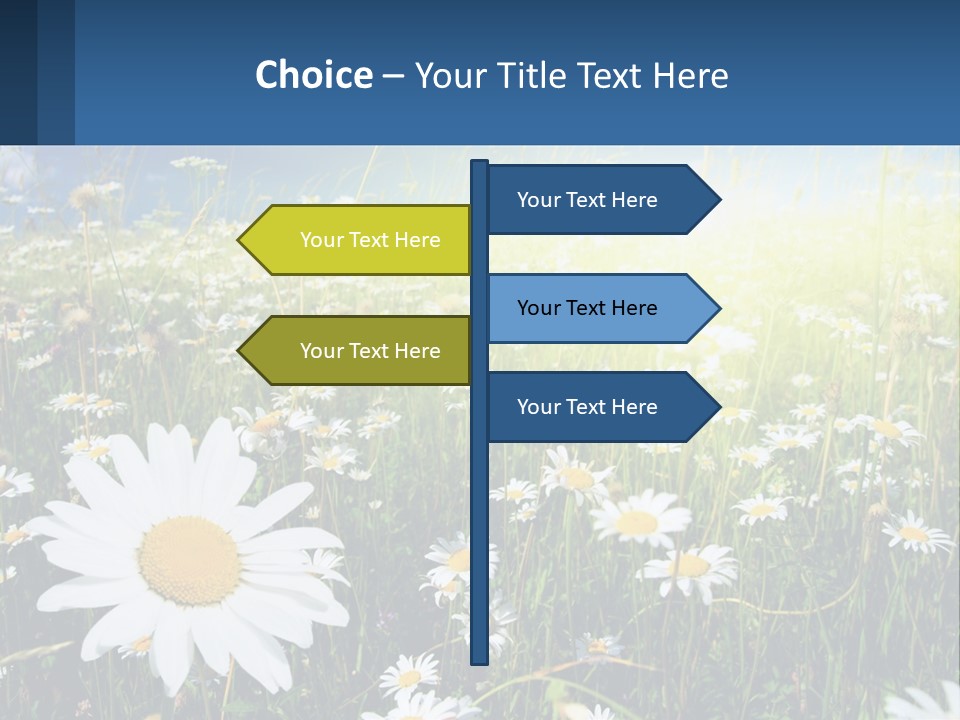 Grass Nature Purchase PowerPoint Template