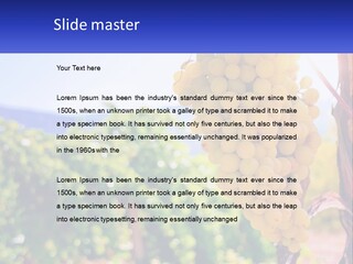 Architecture Conceptual Property PowerPoint Template