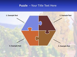 Architecture Conceptual Property PowerPoint Template
