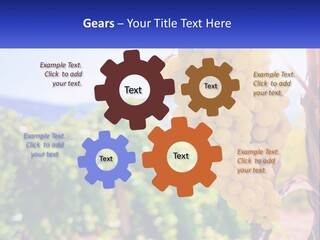 Architecture Conceptual Property PowerPoint Template