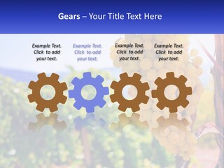 Architecture Conceptual Property PowerPoint Template