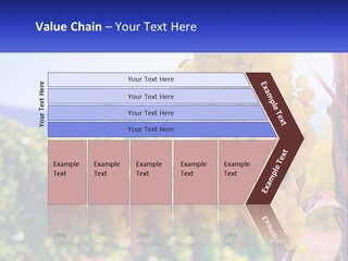 Architecture Conceptual Property PowerPoint Template