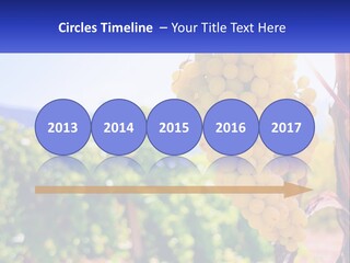 Architecture Conceptual Property PowerPoint Template