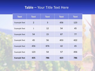 Architecture Conceptual Property PowerPoint Template
