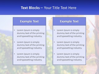 Architecture Conceptual Property PowerPoint Template