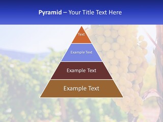 Architecture Conceptual Property PowerPoint Template