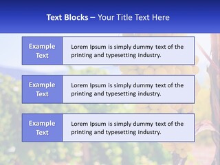 Architecture Conceptual Property PowerPoint Template