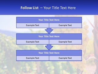 Architecture Conceptual Property PowerPoint Template