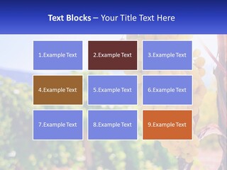 Architecture Conceptual Property PowerPoint Template
