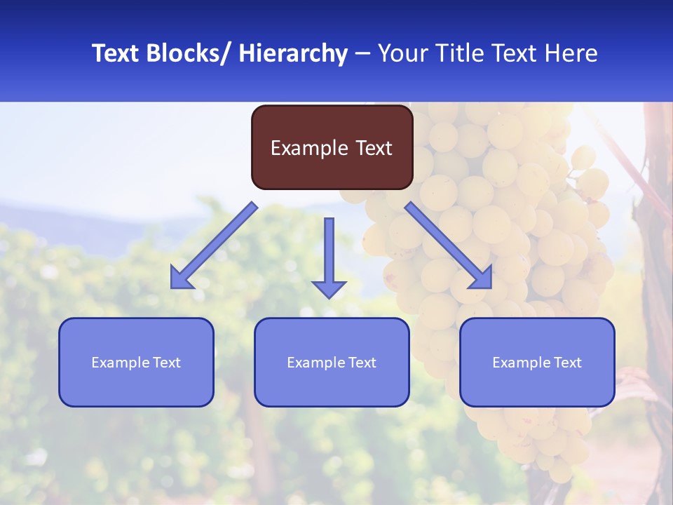 Architecture Conceptual Property PowerPoint Template