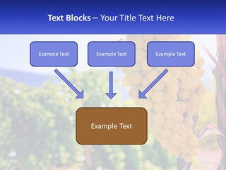 Architecture Conceptual Property PowerPoint Template