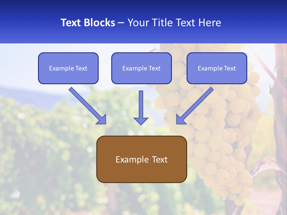 Architecture Conceptual Property PowerPoint Template