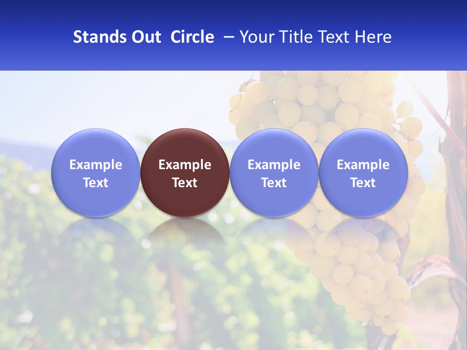 Architecture Conceptual Property PowerPoint Template