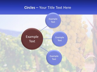 Architecture Conceptual Property PowerPoint Template