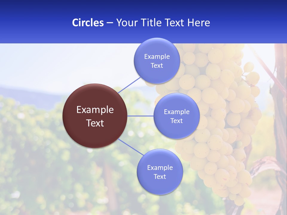 Architecture Conceptual Property PowerPoint Template