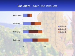 Architecture Conceptual Property PowerPoint Template