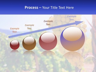 Architecture Conceptual Property PowerPoint Template