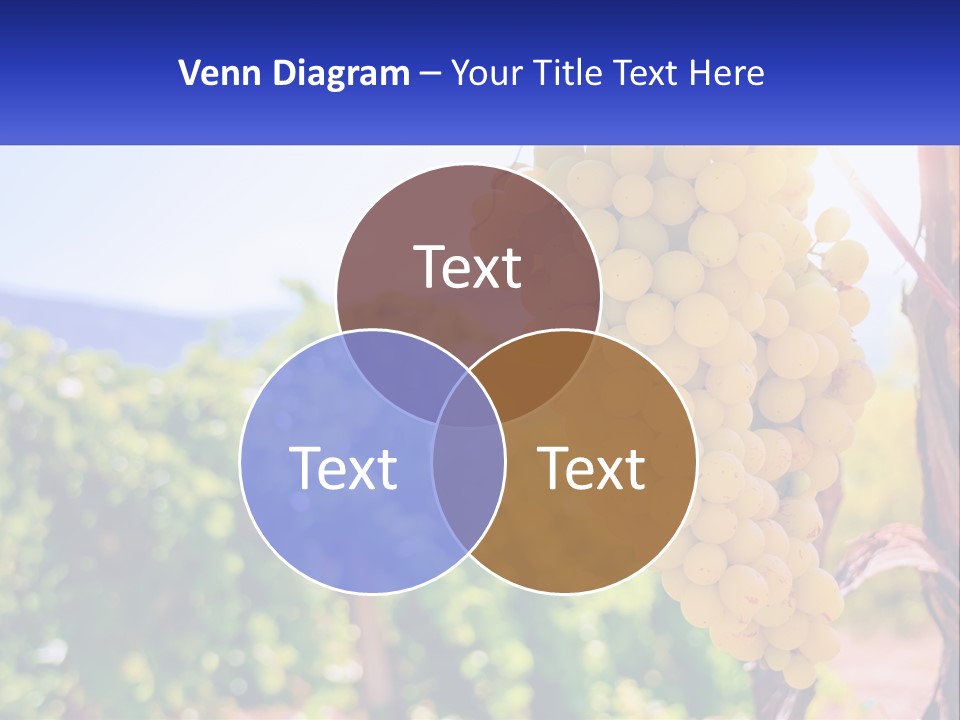 Architecture Conceptual Property PowerPoint Template