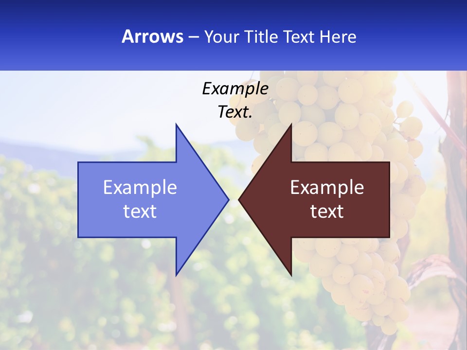 Architecture Conceptual Property PowerPoint Template