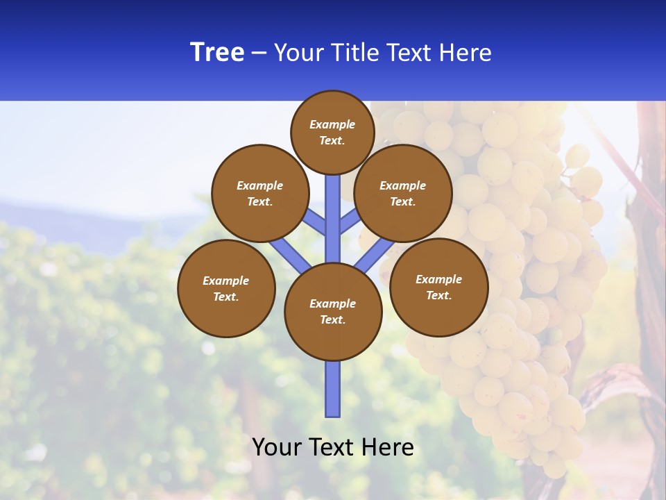 Architecture Conceptual Property PowerPoint Template