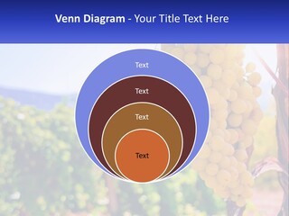 Architecture Conceptual Property PowerPoint Template