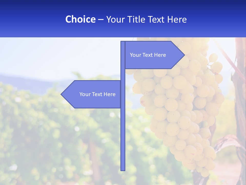 Architecture Conceptual Property PowerPoint Template