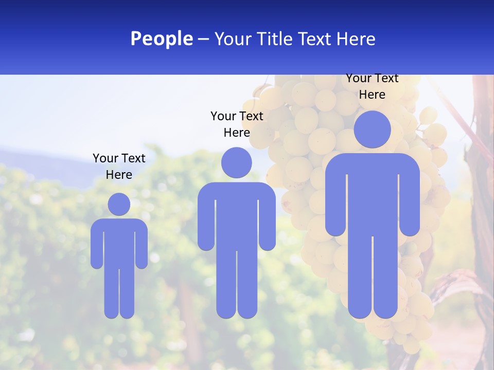 Architecture Conceptual Property PowerPoint Template