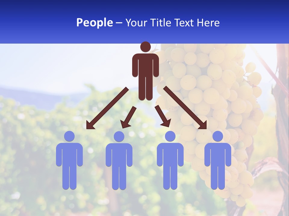 Architecture Conceptual Property PowerPoint Template