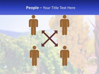 Architecture Conceptual Property PowerPoint Template