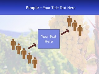 Architecture Conceptual Property PowerPoint Template