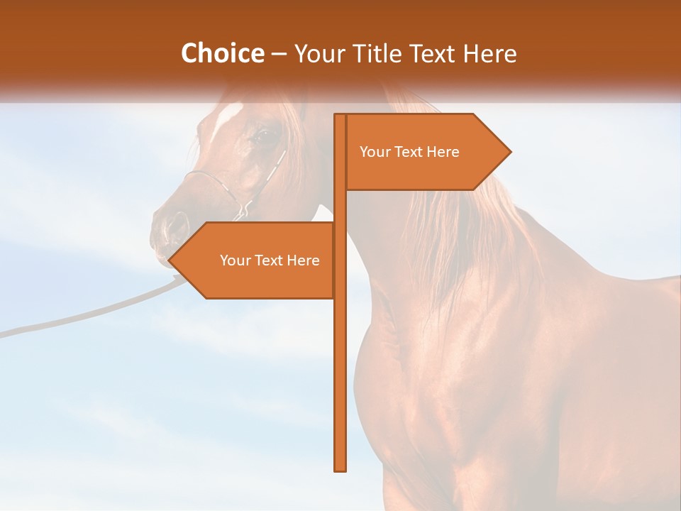 Build Green Construction PowerPoint Template