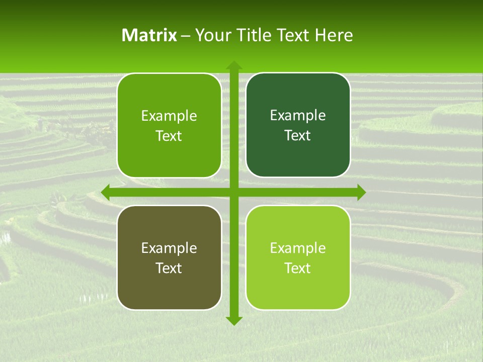 Property Cloud Leaf PowerPoint Template