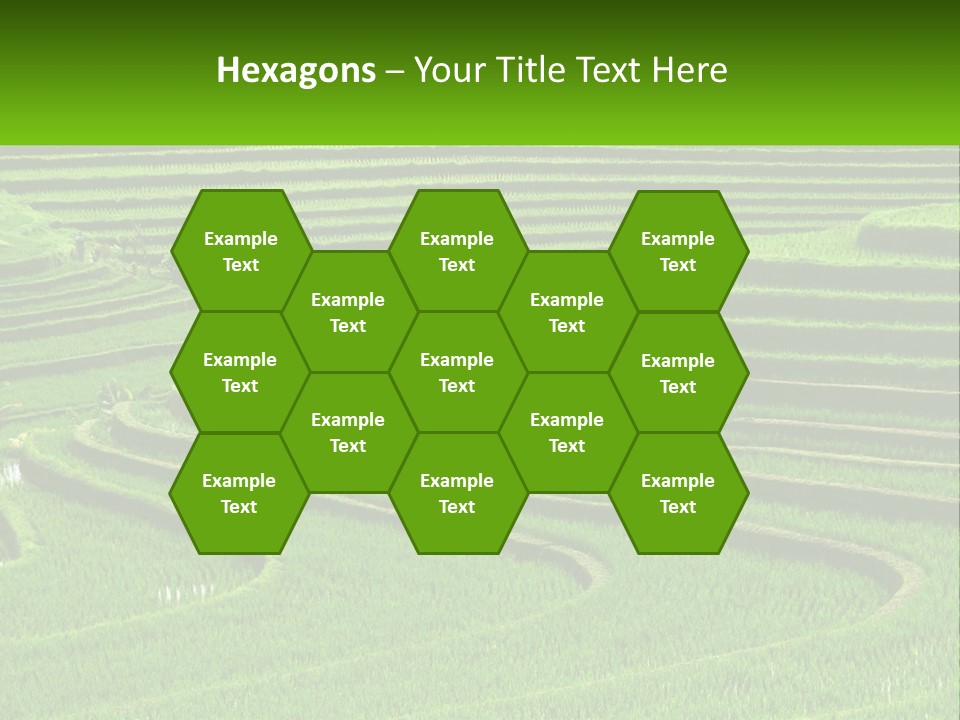 Property Cloud Leaf PowerPoint Template