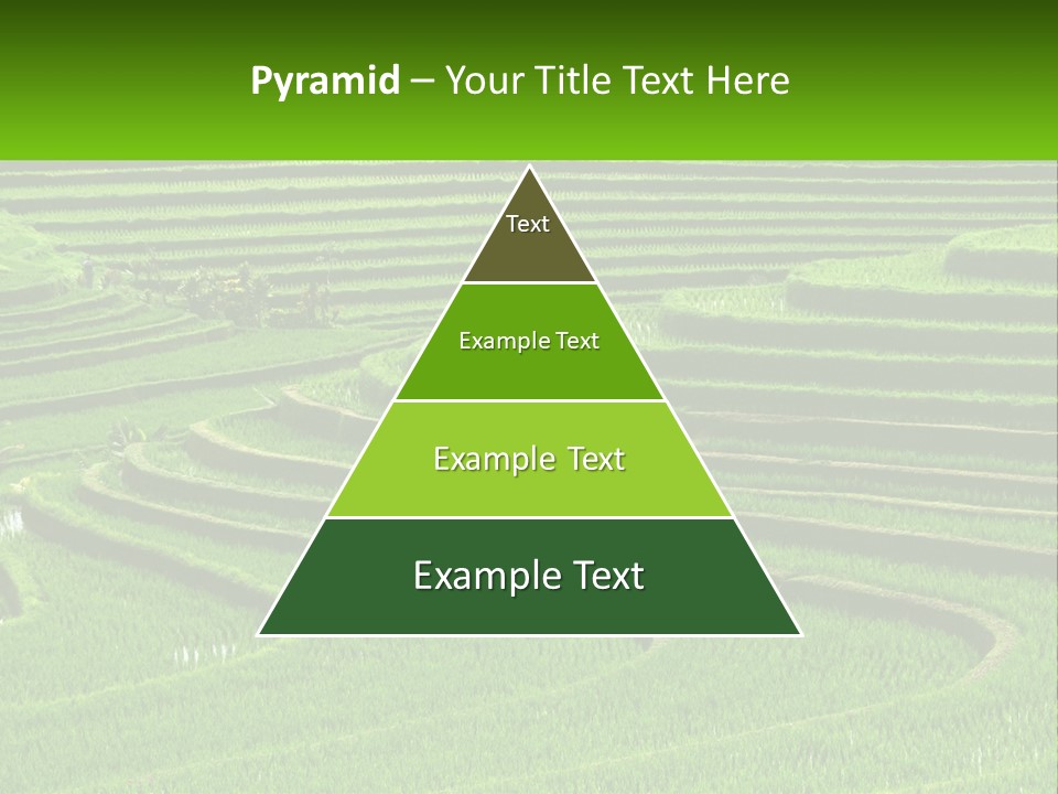 Property Cloud Leaf PowerPoint Template