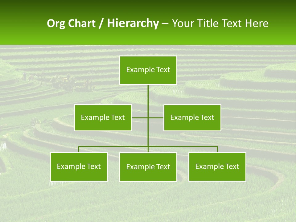 Property Cloud Leaf PowerPoint Template