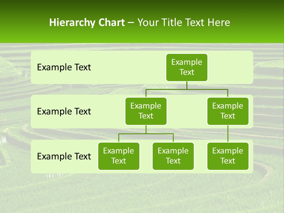 Property Cloud Leaf PowerPoint Template