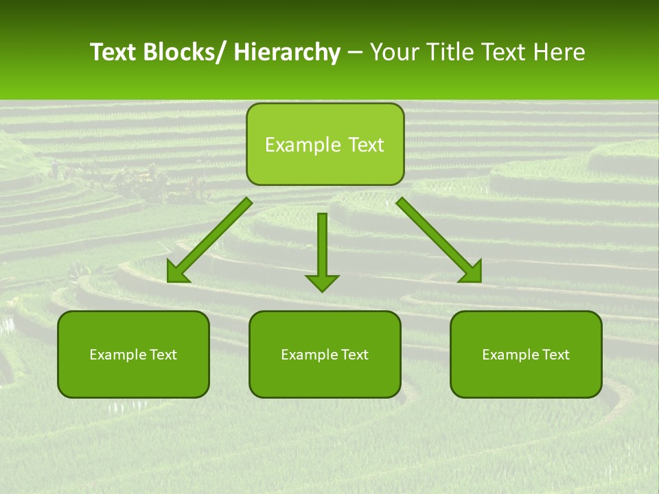 Property Cloud Leaf PowerPoint Template