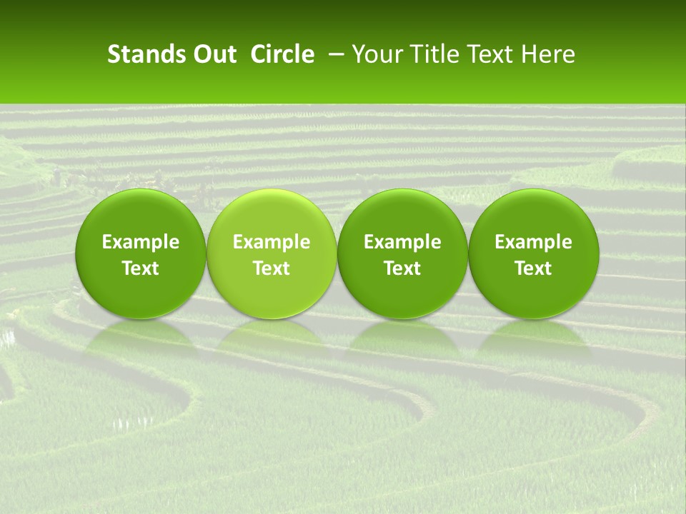 Property Cloud Leaf PowerPoint Template