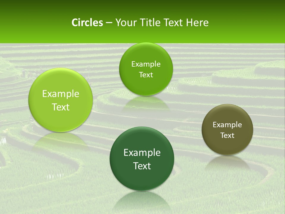 Property Cloud Leaf PowerPoint Template