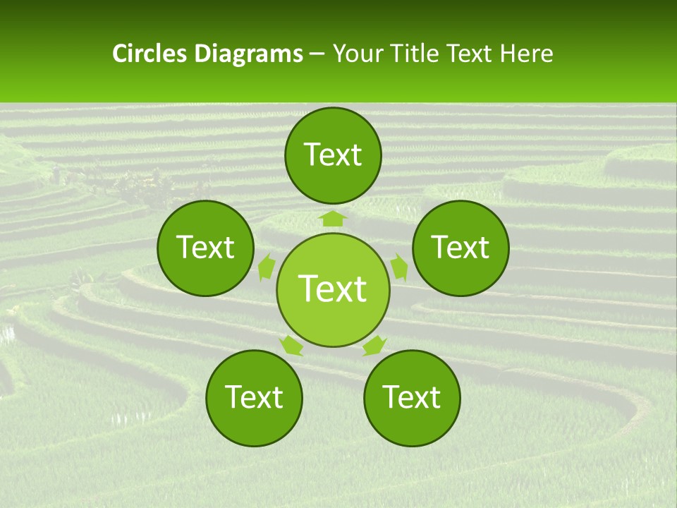 Property Cloud Leaf PowerPoint Template