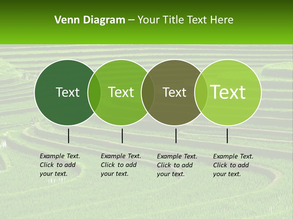 Property Cloud Leaf PowerPoint Template