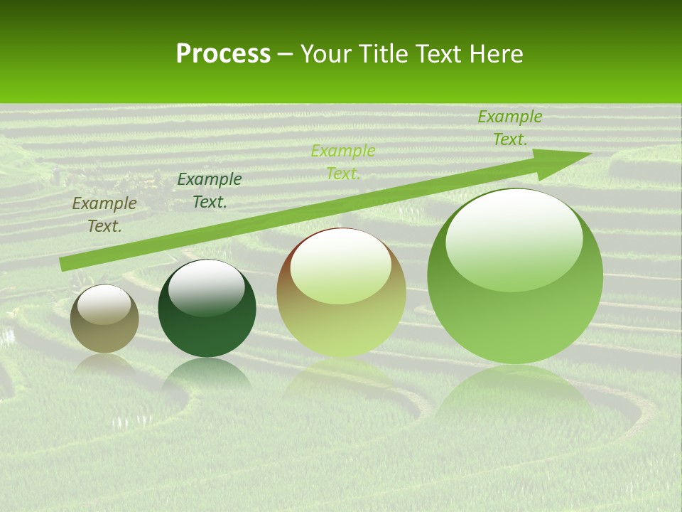 Property Cloud Leaf PowerPoint Template