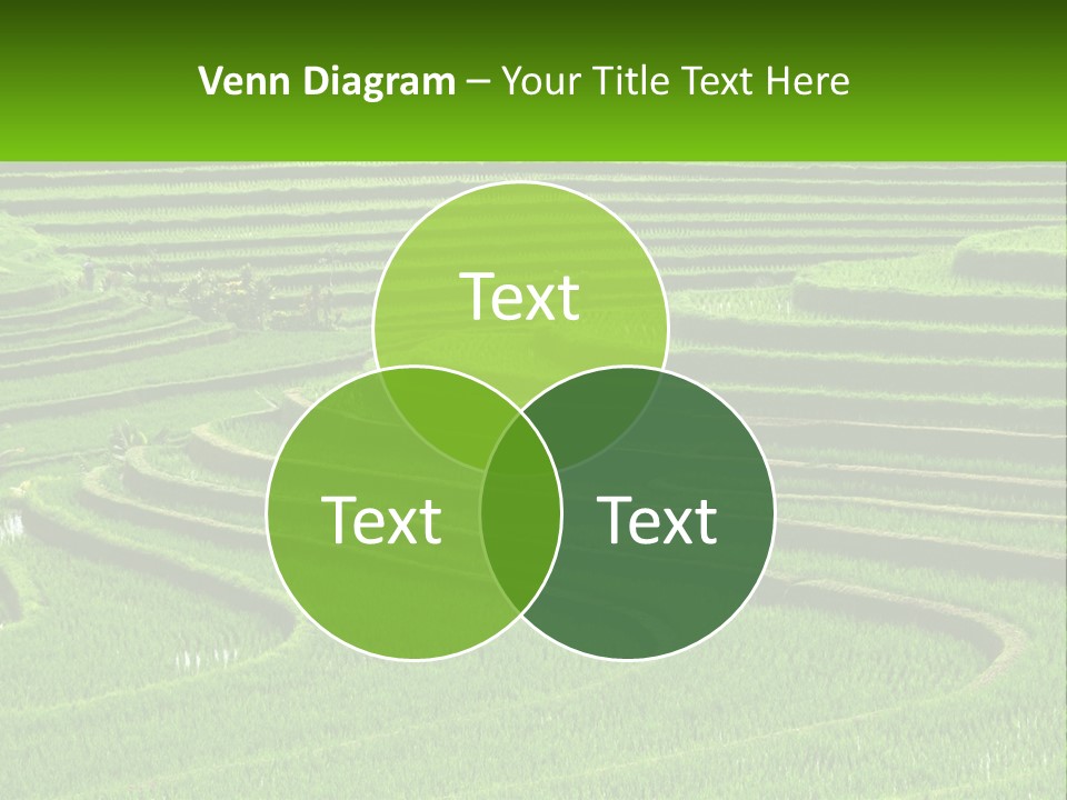 Property Cloud Leaf PowerPoint Template