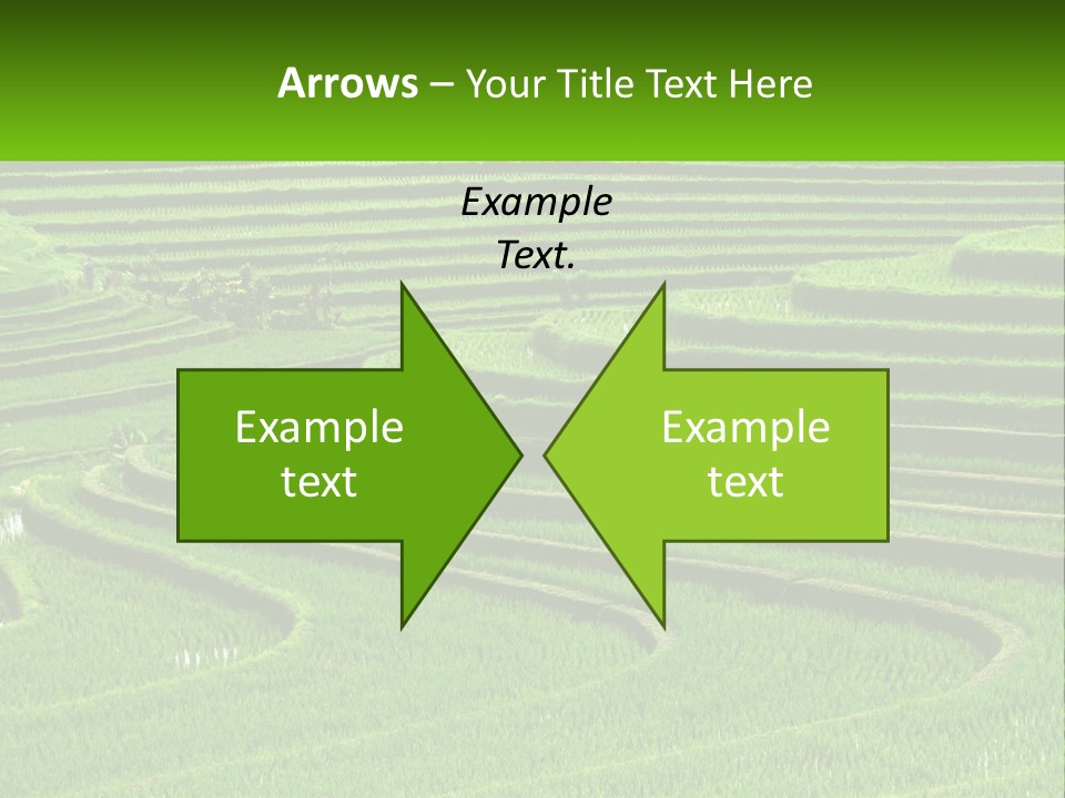 Property Cloud Leaf PowerPoint Template