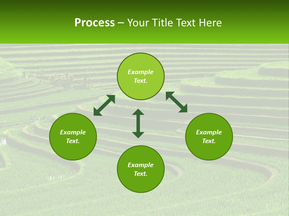 Property Cloud Leaf PowerPoint Template