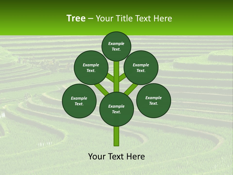 Property Cloud Leaf PowerPoint Template