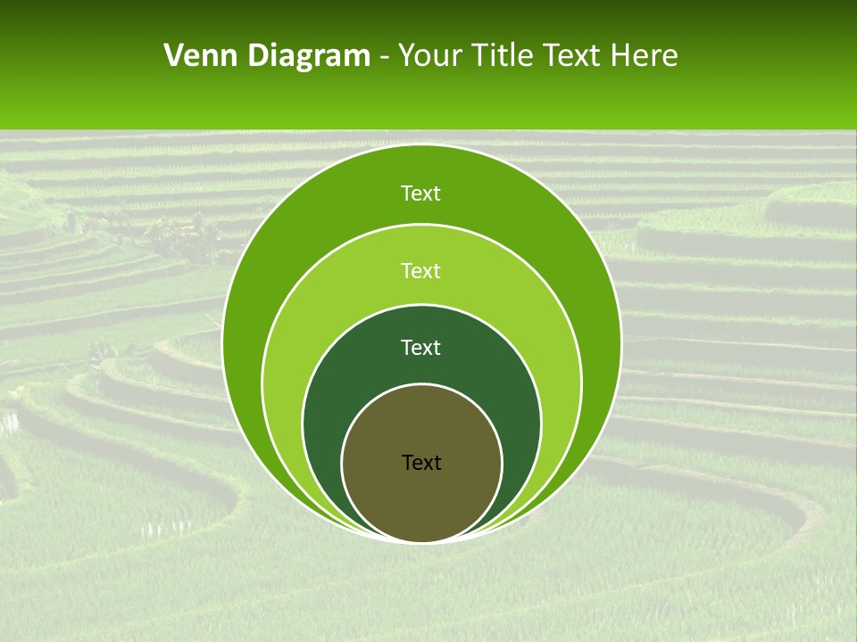 Property Cloud Leaf PowerPoint Template