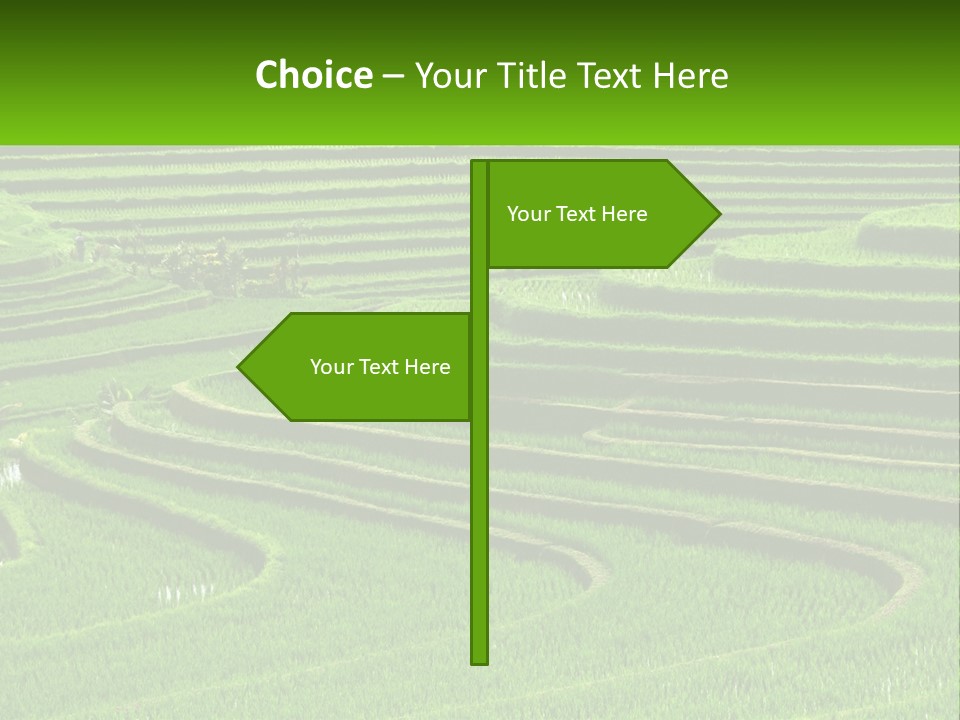 Property Cloud Leaf PowerPoint Template