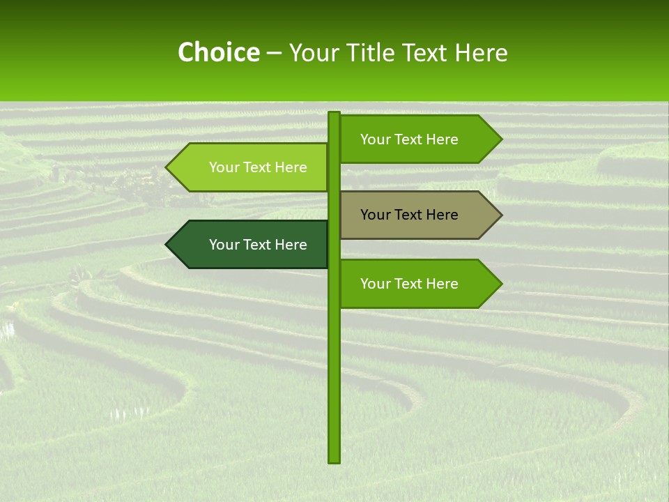 Property Cloud Leaf PowerPoint Template