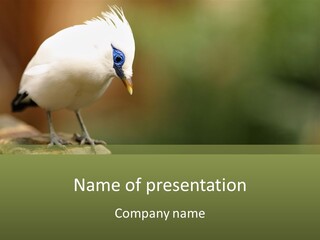Construct New Blue Sky PowerPoint Template